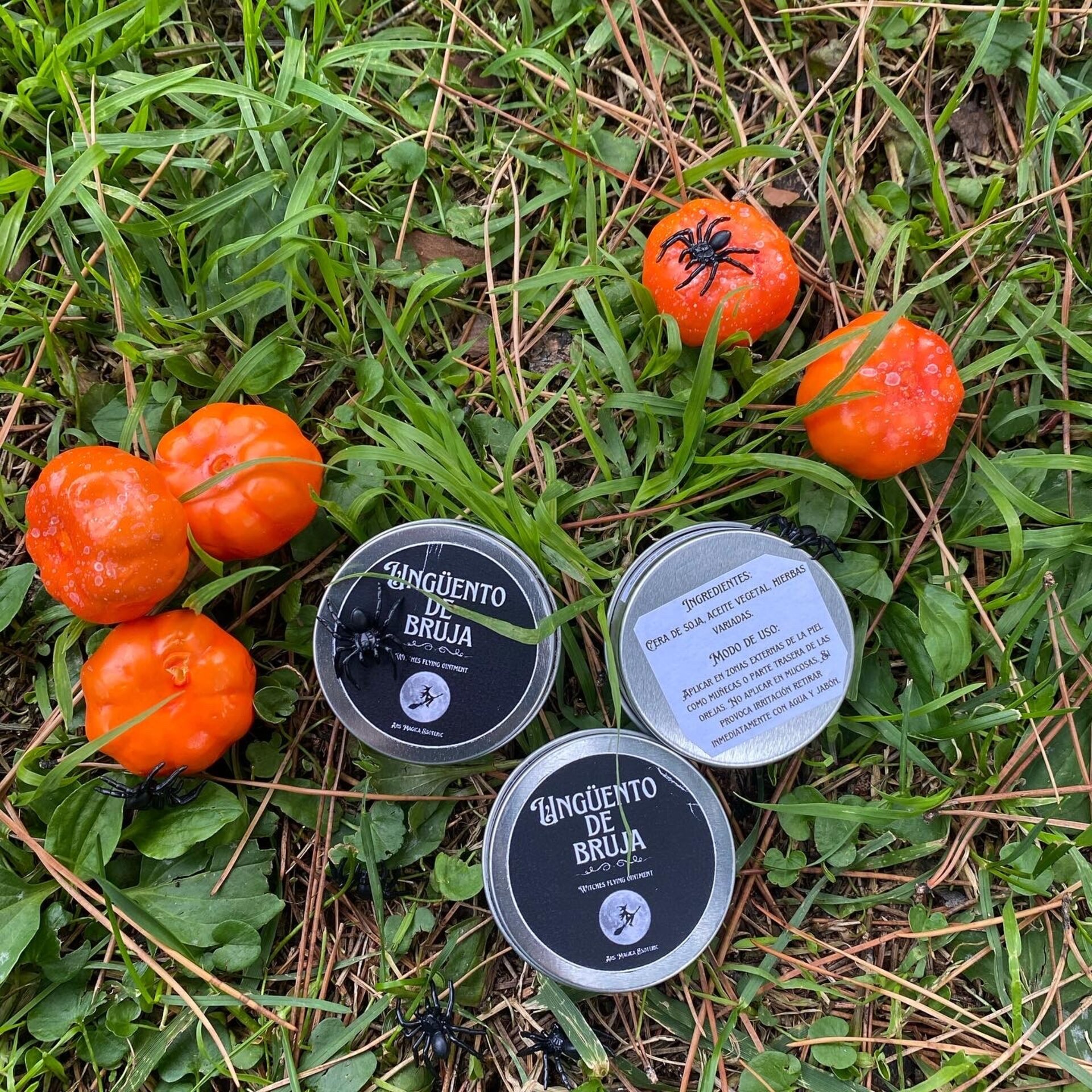 Ungüento de bruja - 3